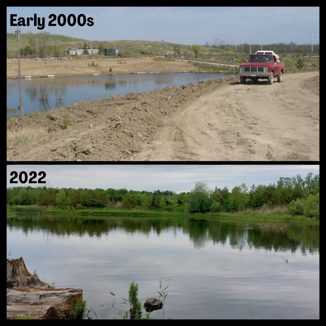 Friends of the Rouge tweet media