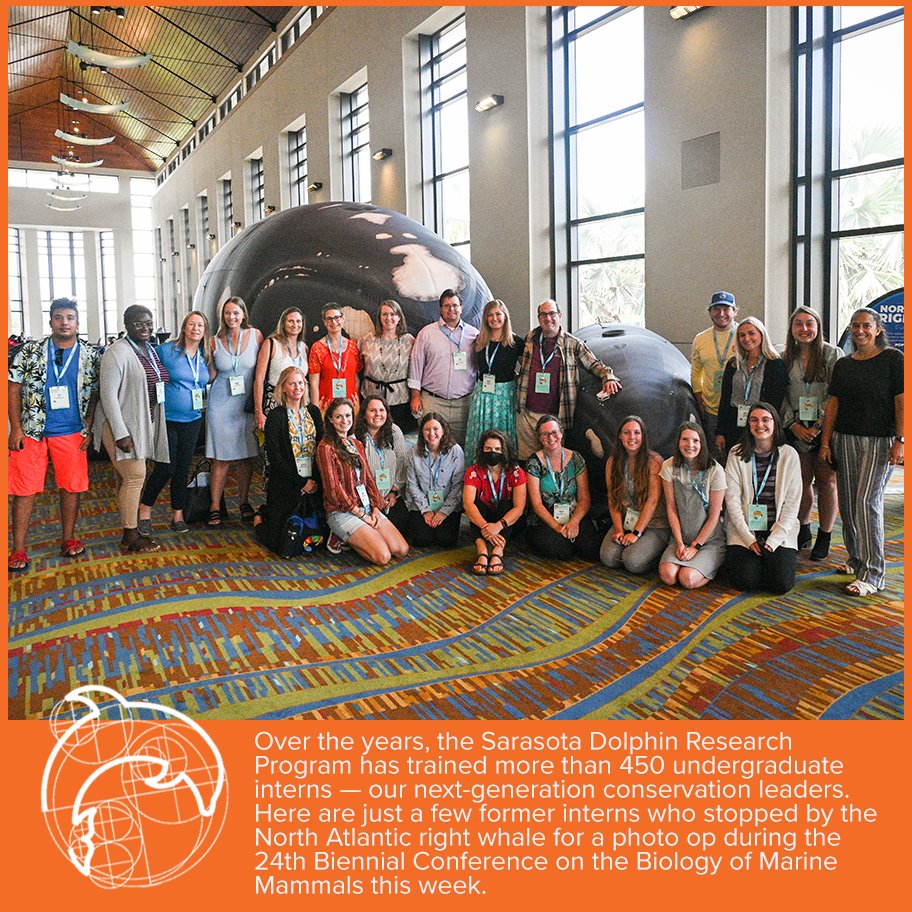 dolphinsarasota's tweet photo. #DYK  we've trained more than 450 undergraduate #interns through the #SDRP over the last 5-plus decades? Here's a snap of some of our former undergraduate interns during #SMM2022. Learn about our internships on our website: https://t.co/wUBhqSbVxm https://t.co/jQbKDW2irM