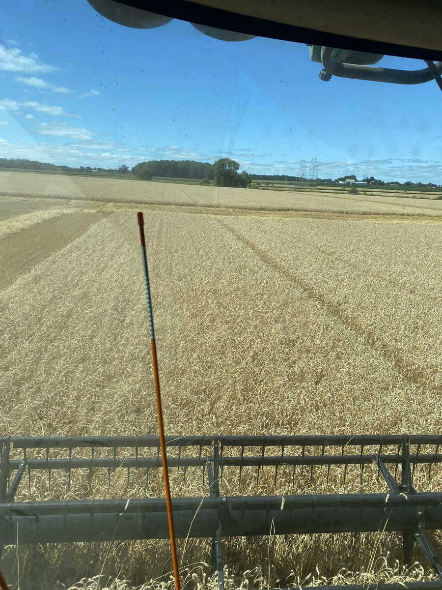 That’s a wrap on our first <a href="/GreatLakesYEN/">Great Lakes Yield Enhancement Network</a> plot, recorded yields for Hilltone farms in E.Ont. Thanks @18SullivanMike <a href="/valleyfarmboy/">Bruce Hill</a>