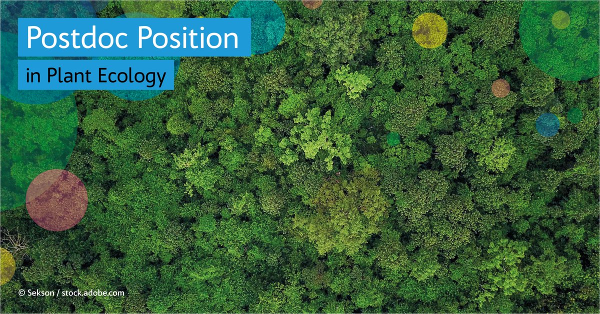 Research in Bavaria (@researchbavaria) on Twitter photo The <a href="/unibt/">Universität Bayreuth</a> offers a #Postdoc position in #PlantEcology. Apply until August 22nd👉uni-bayreuth.de/job-vacancy-ke… #PlsRT <a href="/bay_ceer/">BayCEER_is_leaving_X</a> @m_klotz_ @TimoConradi <a href="/PostdocPhd/">Phd/ Postdoc Positions</a> <a href="/PostdocPal/">PostDoc_Pal</a> <a href="/PostdocO/">Postdoc Predoc Opportunities</a> <a href="/Academicsearch2/">#Academicsearch</a> <a href="/africademics/">Africademics</a> The <a href="/unibt/">Universität Bayreuth</a> offers a #Postdoc position in #PlantEcology. Apply until August 22nd👉uni-bayreuth.de/job-vacancy-ke… #PlsRT <a href="/bay_ceer/">BayCEER_is_leaving_X</a> @m_klotz_ @TimoConradi <a href="/PostdocPhd/">Phd/ Postdoc Positions</a> <a href="/PostdocPal/">PostDoc_Pal</a> <a href="/PostdocO/">Postdoc Predoc Opportunities</a> <a href="/Academicsearch2/">#Academicsearch</a> <a href="/africademics/">Africademics</a>