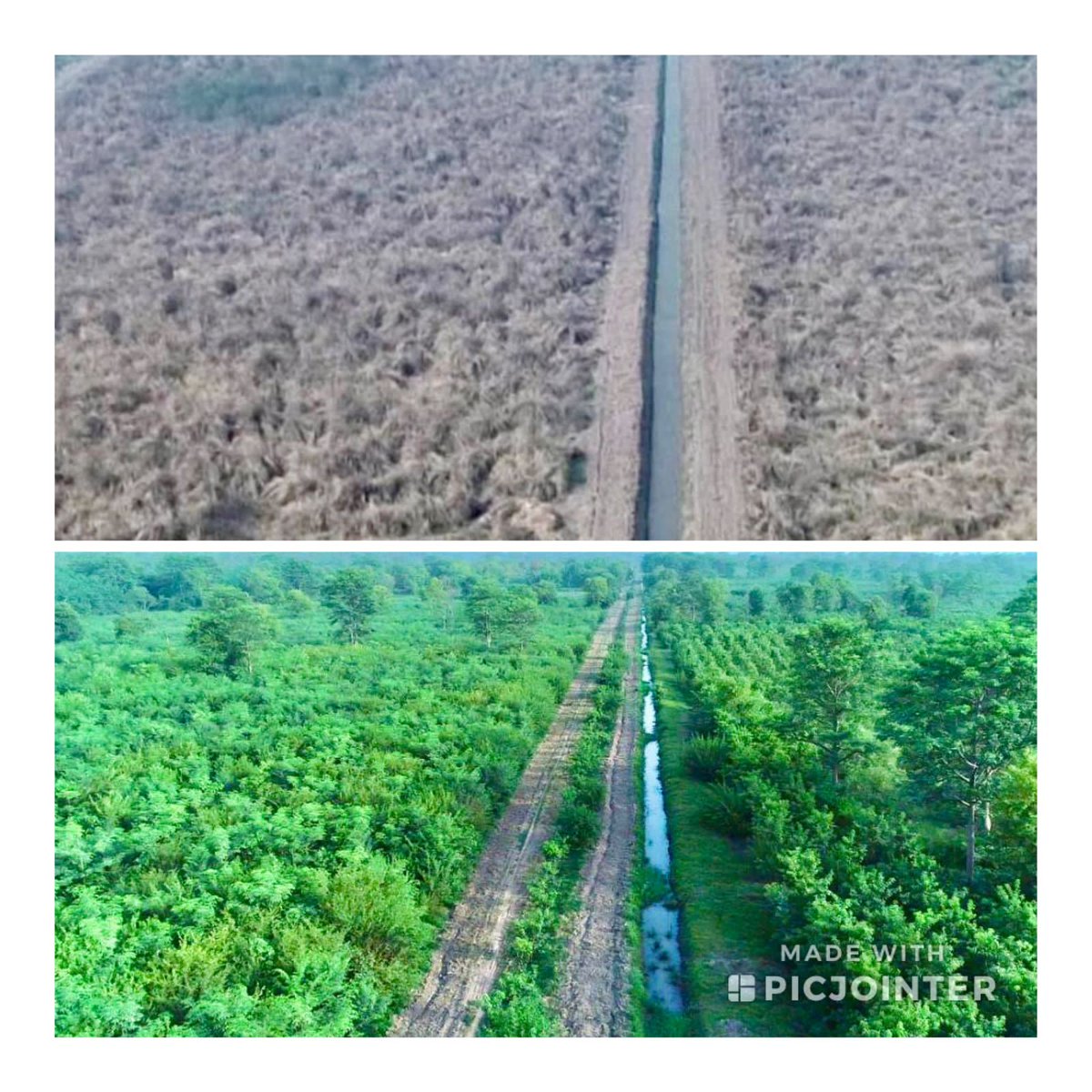 ماحول کےتحفظ اورخصوصاًاپنی آئندہ نسلوں کو موسمیاتی تغیرات کےاثرات سےمحفوظ بنانےکےلیے متعارف کروایاجانےوالا ہمارابلین ٹری سونامی پروگرام پہلےہی ماحول اورجنگلی حیات پرمثبت اثرات مرتب کررہاہے۔2500 ایکڑرقبےپرمحیط چھانگامانگا کی 2020سےپہلےکی ویران زمین