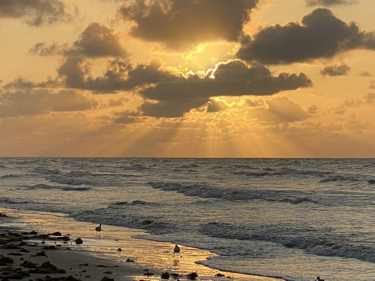 Dahna Hull tweet media