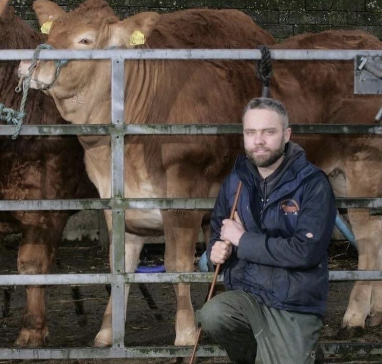 Coolrain Pedigree Limousin (Est. 1999) tweet media