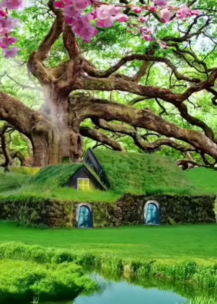 mastermachandar's tweet photo. #ingreen https://t.co/l5ka6iBDrY