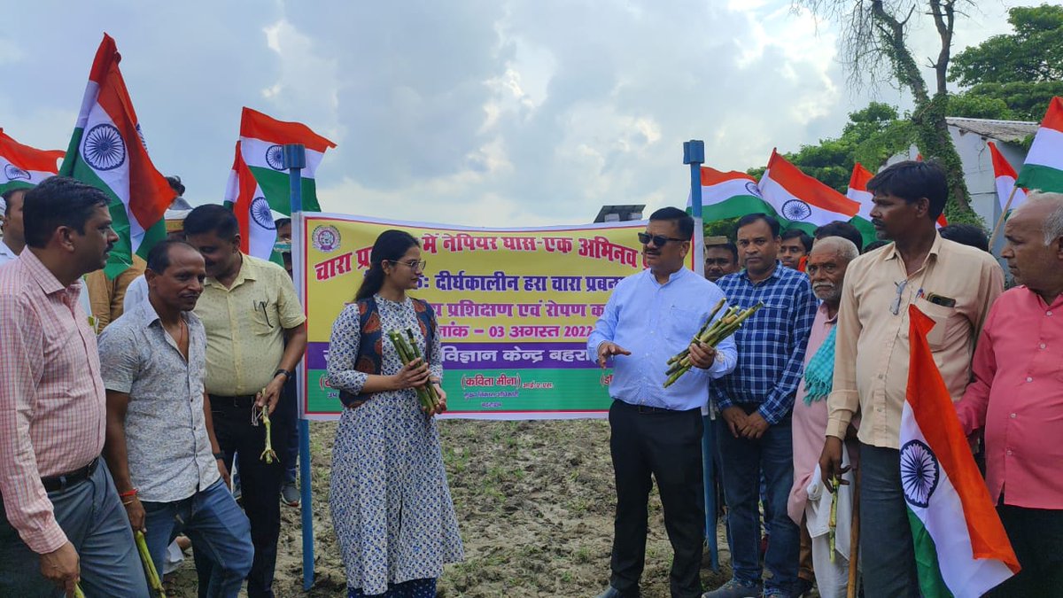हरा चारा प्रबन्धन के क्षेत्र में आत्मनिर्भरता की ओर जनपद ने बढ़ाये कदम। प्रगतिशील कृषकों को डीएम डॉ. दिनेश चन्द्र ने नेपियर घास बोआई का पढ़ाया पाठ। जिले में नेपियर घास का होगा क्षेत्र विस्तार। गौवंशों के लिए हर वक्त उपलब्ध रहेगा हरा चाारा। <a href="/CMOfficeUP/">CM Office, GoUP</a> <a href="/InfoDeptUP/">Information and Public Relations Department, UP</a> <a href="/UPGovt/">Government of UP</a>