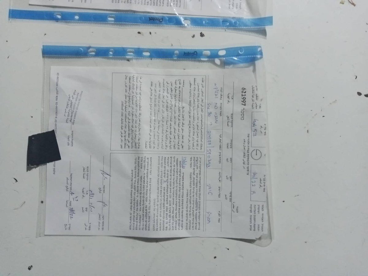 Colomba Palestina tweet media