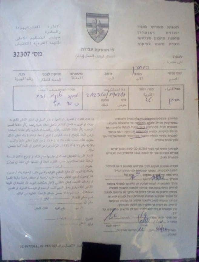 Colomba Palestina tweet media