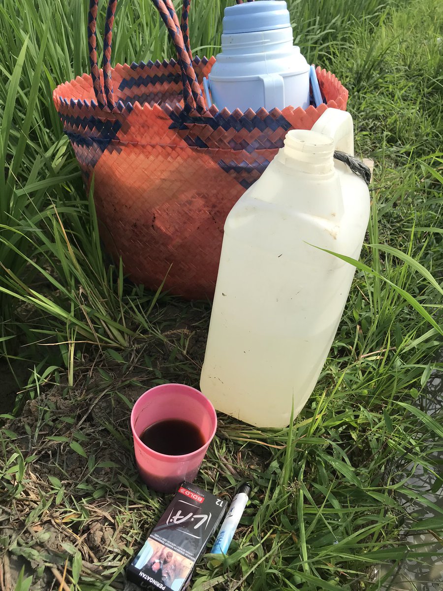 Faiz_Arafi's tweet photo. @jawafess Bener luurr, nek wayah mudik sering ng sawah, bawa bekal seko omaah. Nceen nikmaat. https://t.co/HyL7ohxIzq