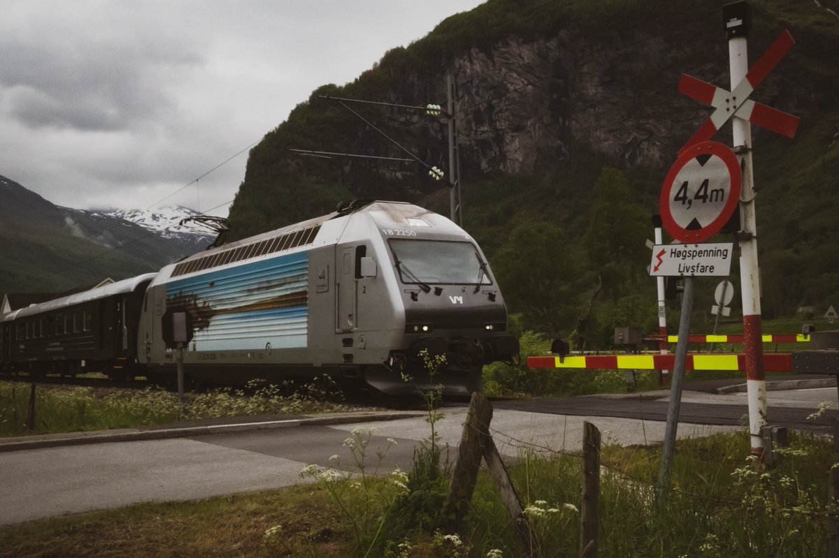 RefusScape's tweet photo. “Train-spotting in Flåm”
#SonyAlpha #Flåm #Flaam #Flåmsbana #Flaamsbana #Norge #Norway #Nor #Train #PhotoOfTheDay https://t.co/hhG48Rhp9s