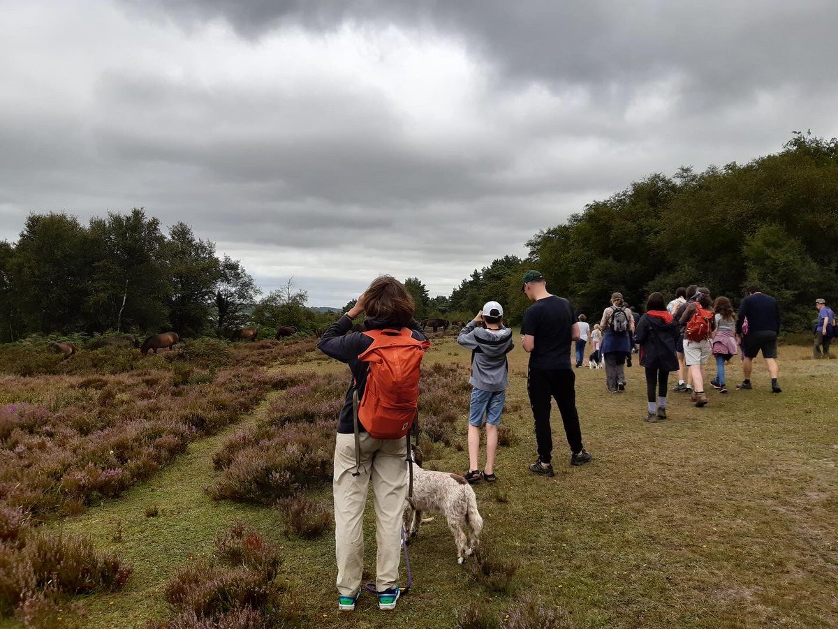 Exmoorponyfest's tweet photo. What a lovely afternoon we had with @ExmoorNP ranger learning about the #exmoorpony #herd on #HaddonHill - lovely to see the #mares with their #foals and their main man #GreystonegateConker 🐴🐴🐴 #exmoor #exmoorponies lots more great events- see our Facebook page for details!! https://t.co/PQlI7d4VMF