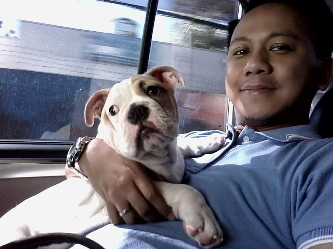 LasagnaPig's tweet photo. Great things never came from comfort zones.
#Englishbulldog #eblp #lasagna #furparent #AnimalLovers https://t.co/MgvMWI0T2F