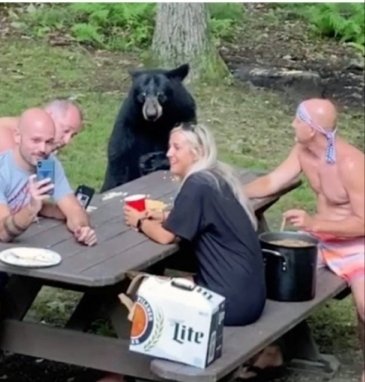 ExitAlexis's tweet photo. "Dicen que si vas por el bosque con los amigos y te encuentras un oso,  lo mejor es mantener la calma y seguir hablando con normalidad"

Yo y mis amigos: https://t.co/DPSDhgPpQ5