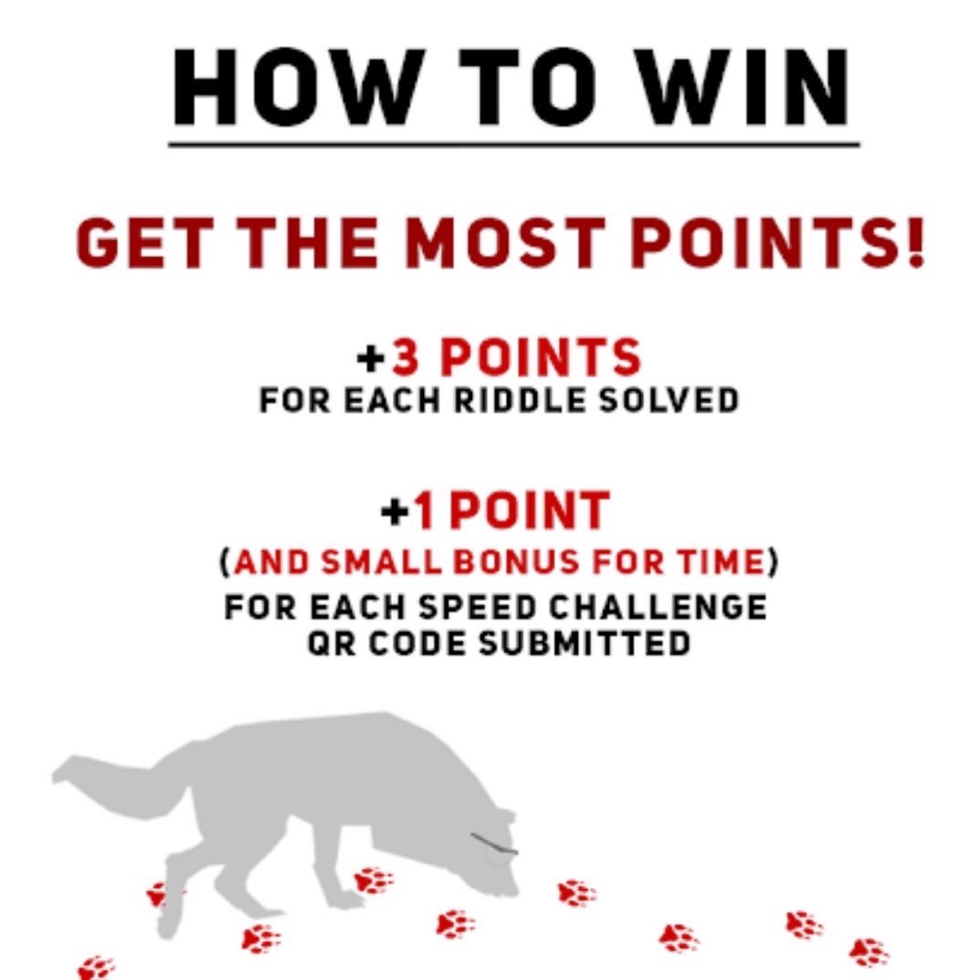 NCStateChemGSA's tweet photo. Enjoy a stress-relieving weekend hunting for clues and reward yourself with free pizza on Monday evening and extra cash! Below are the links to the sign-up forms.
Team Name Submission: https://t.co/Us2mpjbSQm
Name for pairing form: https://t.co/bestT1AzPw https://t.co/SWwb2JKfno