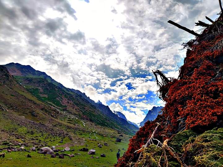 Natural Beauty Of Makuli 🥀❤️
Ghizer Yasin Valley Gilgit Baltistan
#yasin
#lifeinmountains #welovenature #gilgit_heaven_on_earth #gilgitbaltistanpakistan #adventuretravel #rainydayvibes #lifeisgood