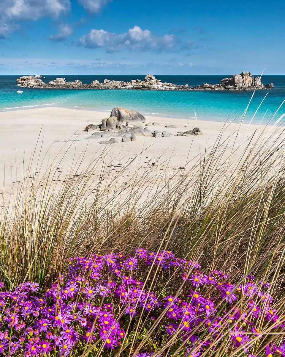 Adilemoigne's tweet photo. On pourrait presque se croire aux Caraïbes avec cette photo. Et non, c'est dans le Finistère. https://t.co/uSvNBRvkr8