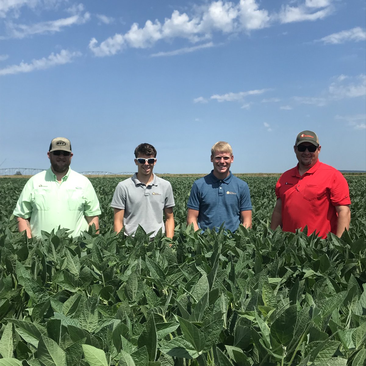 BurrusSeed's tweet image. #BurrusSeed Research Coordinator Jacob Perry, Wisconsin intern Josh, agronomy intern Luke, and Field Agronomist Chris Brown showing the height of this field of DM 28E52 in Whiteside Co. @EnlistOnline @donmarioseeds  #grow22