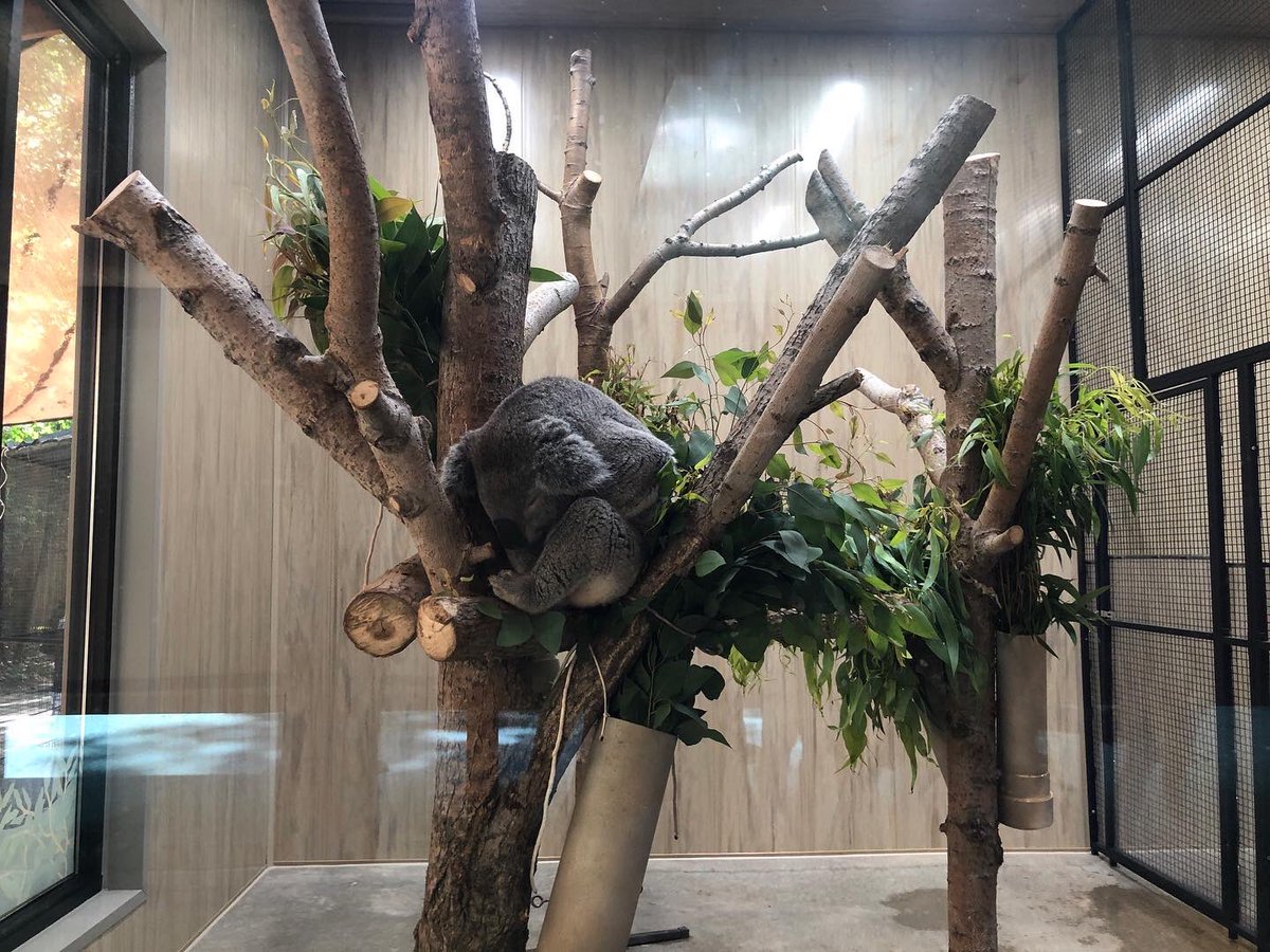 GregSmolka's tweet photo. It’s always a great time at the John Ball Zoo! @JBZOOGR #WeAreGR https://t.co/83mQVPuuQS