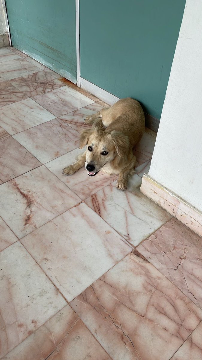 Itzel flor tweet media