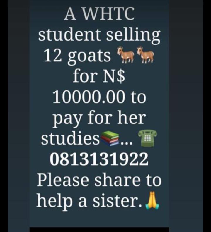 officialAsino's tweet photo. Contact details on the poster.🙌🏽😁 Please do share and help💯 https://t.co/2UjM6cicmV