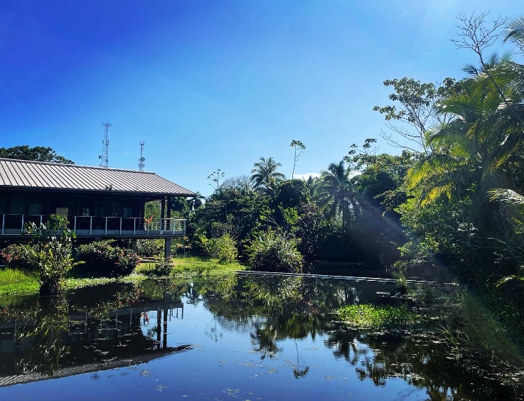 The last few weeks I’ve been learning about the most fascinating animals #Meduzoa #Ctenophora in a STRI course by <a href="/thuesen_v/">Erik V. Thuesen</a> <a href="/beroe/">stevehaddock.bsky</a> <a href="/MPMiglietta/">Maria Pia Miglietta</a> &amp; O. Oliveira together with an amazing bunch of international students. During the course we IDed &gt;65 species of jellies &amp; polyps!