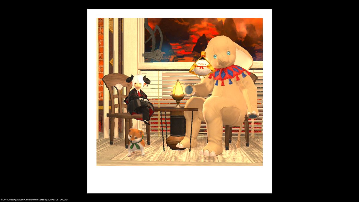 암생각없이 컨하 갔다가... 좋은사진 하나 받았다 ^^;