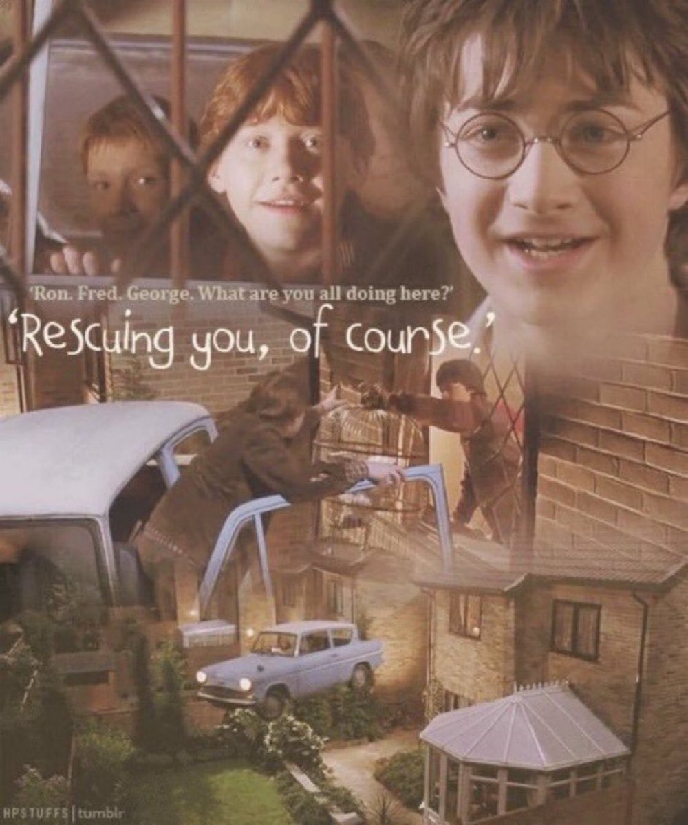 Harry Potter Universe tweet media