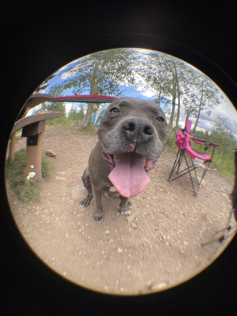 Haley Watkins tweet media