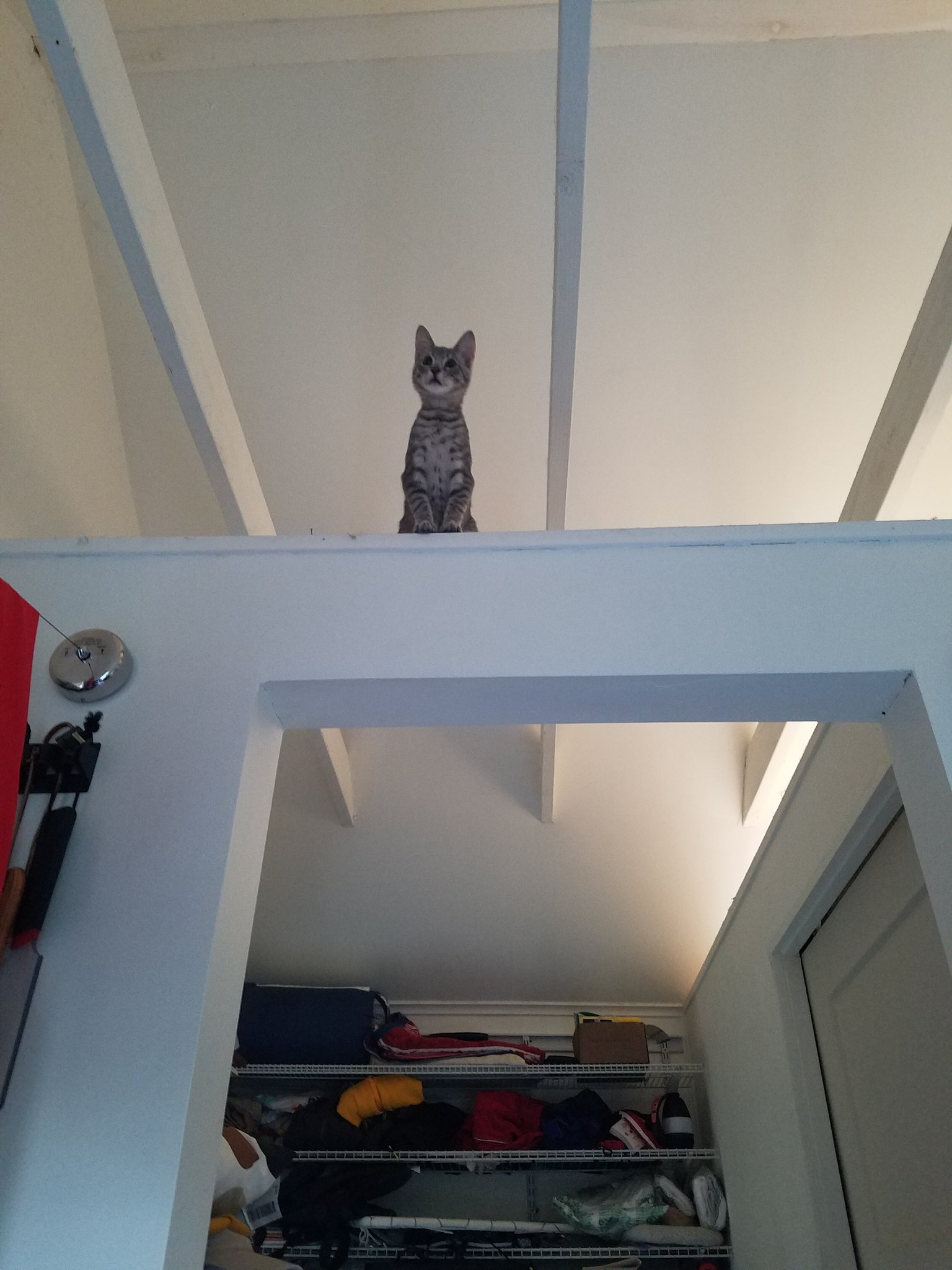 academic-spanking-msc-on-twitter-my-house-was-not-built-to-contain