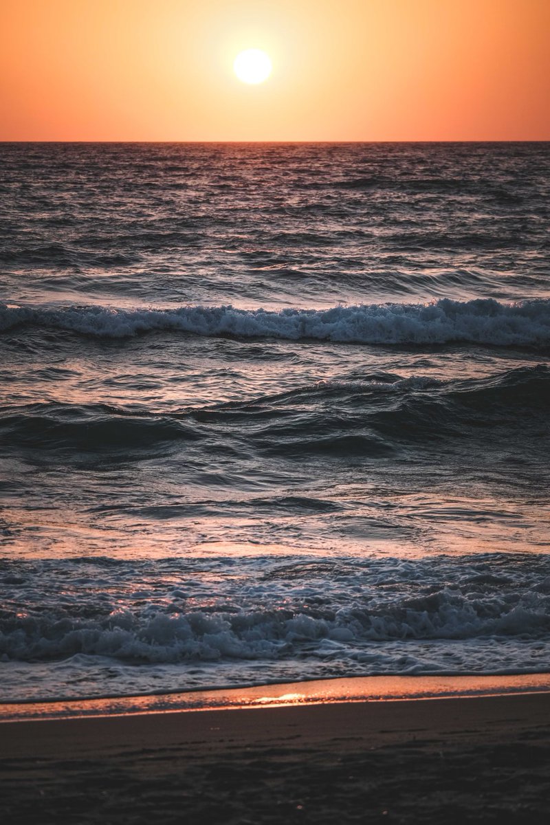 HAVENoftiogaco's tweet photo. "Dance with the waves, move with the sea. Let the rhythm of the water set your soul free."
-Christy Ann Martine https://t.co/GqC41NBIFs