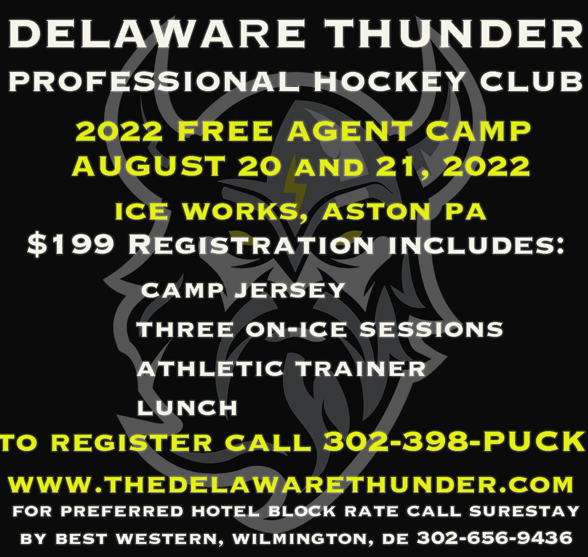 Delaware Thunder tweet media
