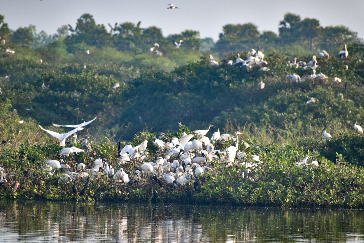 mkstalin's tweet photo. This takes the Ramsar recognition tally of Tamil Nadu to 10. This International recognition is a matter of great pride and goes hand in hand with Tamil Nadu Wetland Mission. I congratulate TN  Forest Department on this sterling achievement. https://t.co/9fMtdRGEDg