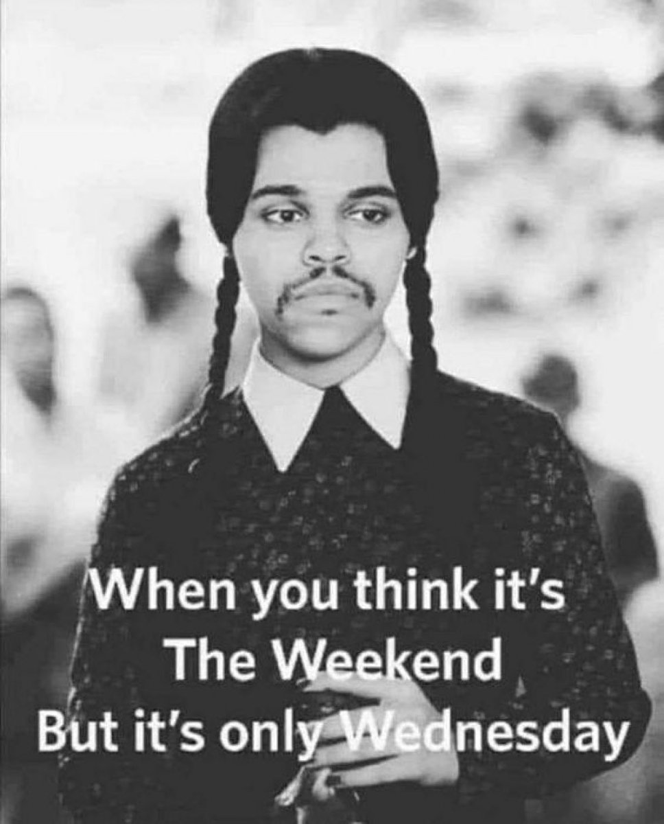 LesleyWhite55's tweet photo. https://t.co/FKGl3nPcza