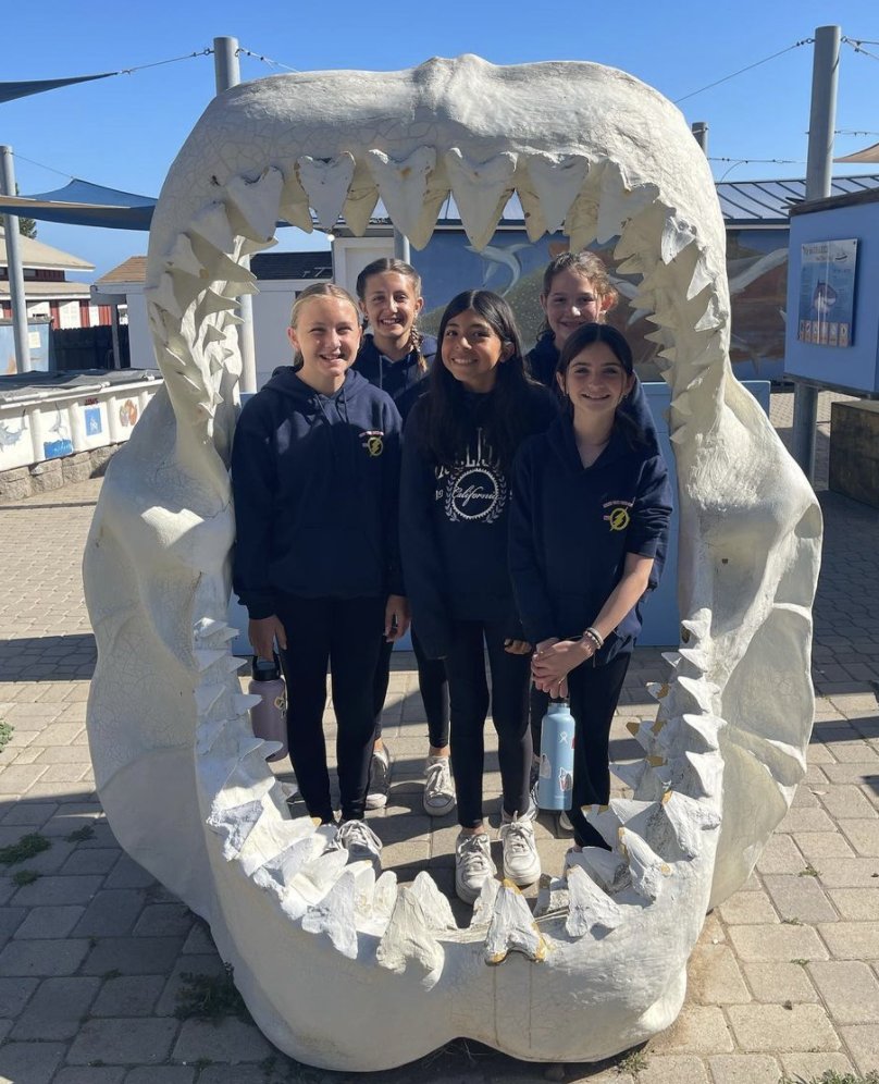 CIMI_Science's tweet photo. Thank you @kimberly_gimbel_johnson for sharing this photo of your students during shark lab at Toyon Bay!! 😄 📸 🦈 #cimiscience #toyonbay #repost #sharklab #marinescience #fieldtrip https://t.co/baOr1P2Ic5