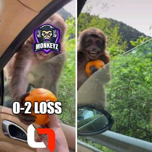 😜 

We are looking forward to an entertaining game tomorrow <a href="/11MonkeyzDota2/">Eleven Monkeyz Dota2</a> 🤝 

#LETSGODIV | #ESLMeisterschaft