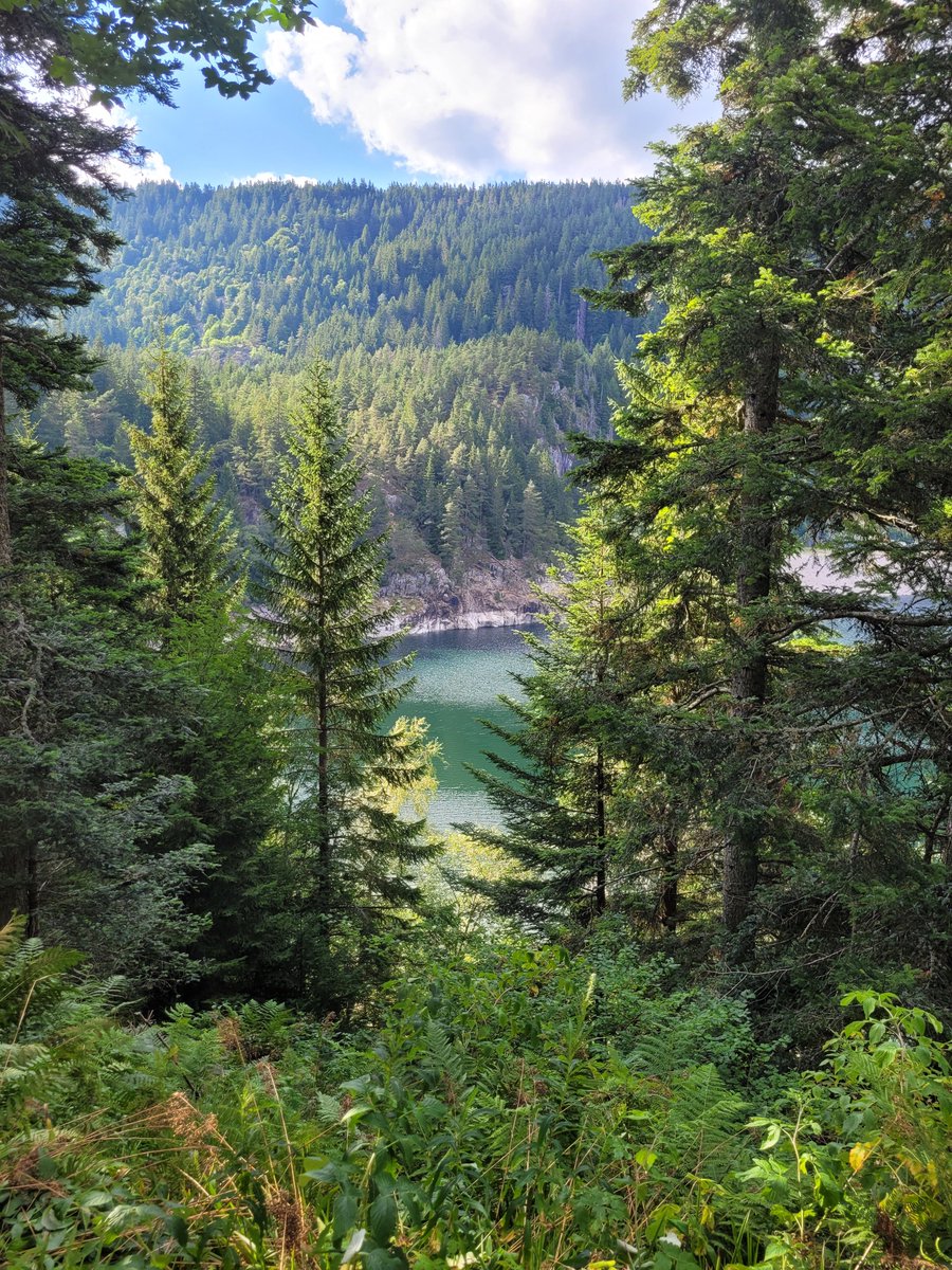 JolivetYannick's tweet photo. Mon retour dans les Vosges me permet de (re)découvrir des merveilles que j'apprécie beaucoup plus désormais. 🥰 https://t.co/XOUT1ZFj7c