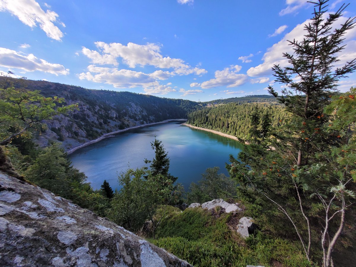 JolivetYannick's tweet photo. Mon retour dans les Vosges me permet de (re)découvrir des merveilles que j'apprécie beaucoup plus désormais. 🥰 https://t.co/XOUT1ZFj7c