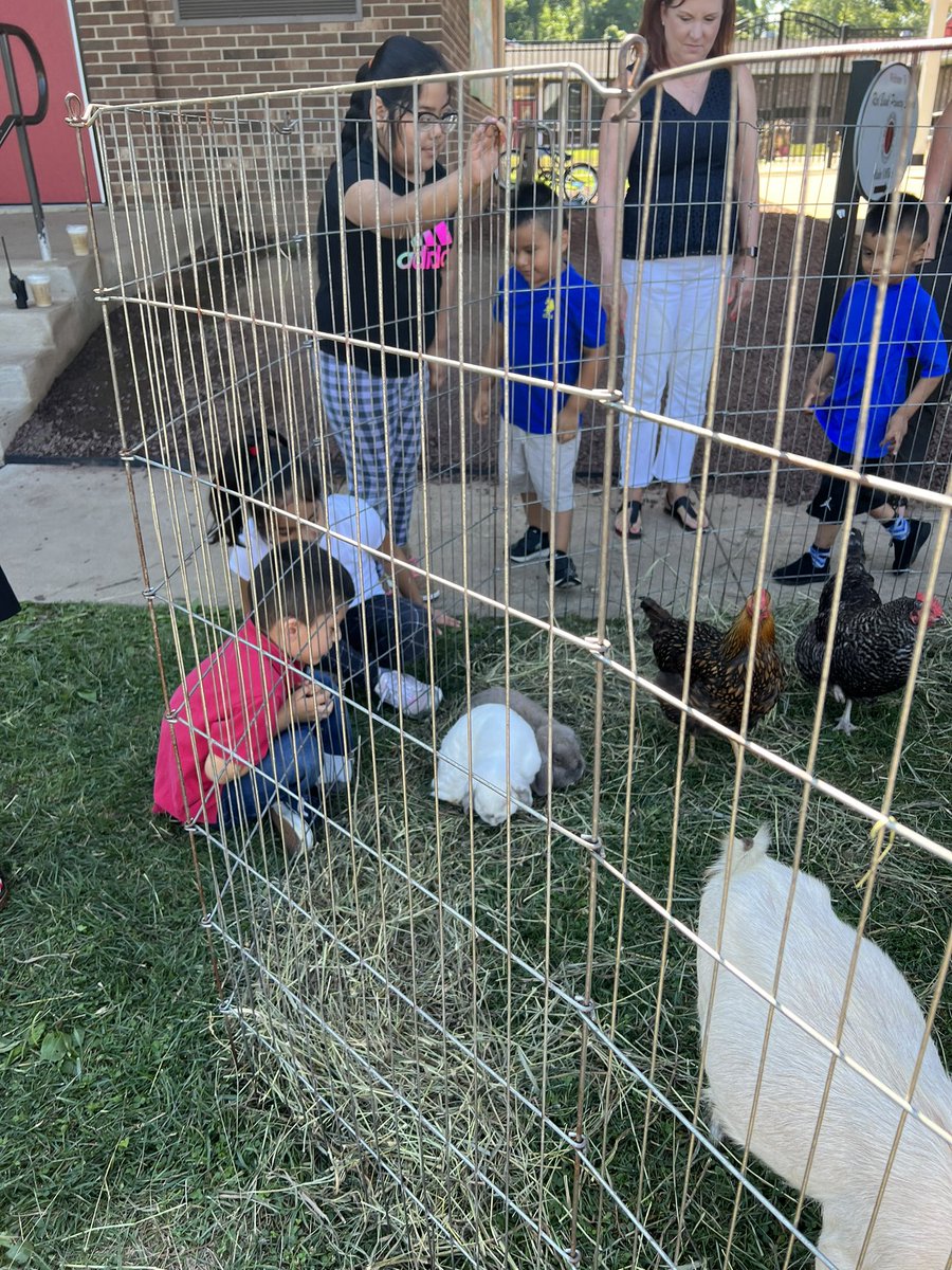 mrs_portelli's tweet photo. What is better than desk pets… how about a petting zoo!  Thank you @rbbsummer for making summer learning AMAZING!  We love having all of these experiences- you can see it on our faces 🐐🐇🦆❤️#RBBisBIA @rbpsEAGLES @CherylCuddihy https://t.co/nSZqihxfTK