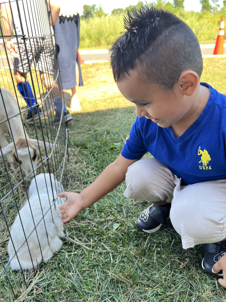 mrs_portelli's tweet photo. What is better than desk pets… how about a petting zoo!  Thank you @rbbsummer for making summer learning AMAZING!  We love having all of these experiences- you can see it on our faces 🐐🐇🦆❤️#RBBisBIA @rbpsEAGLES @CherylCuddihy https://t.co/nSZqihxfTK