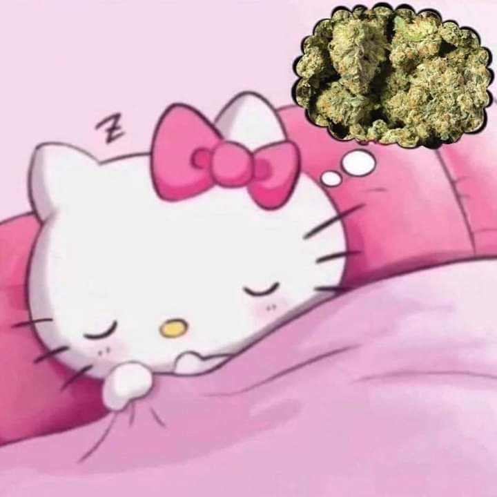 Sueño