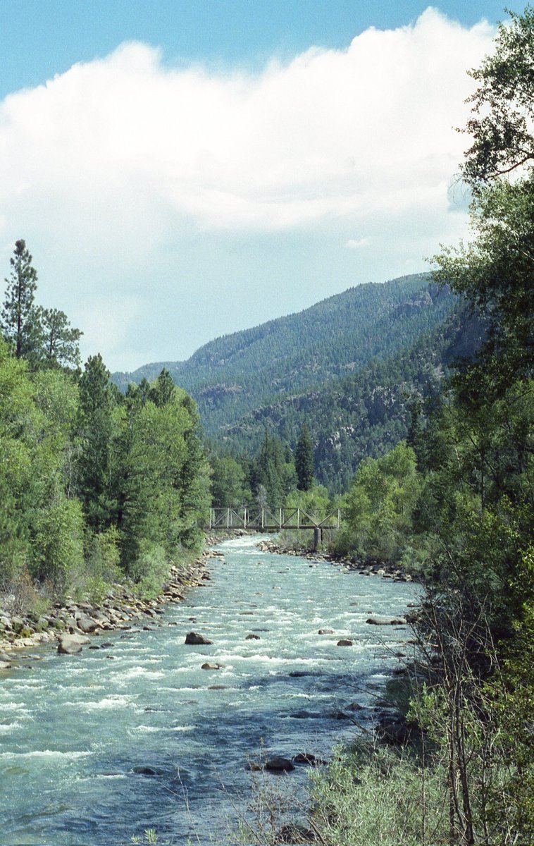 alex takes fotos tweet media