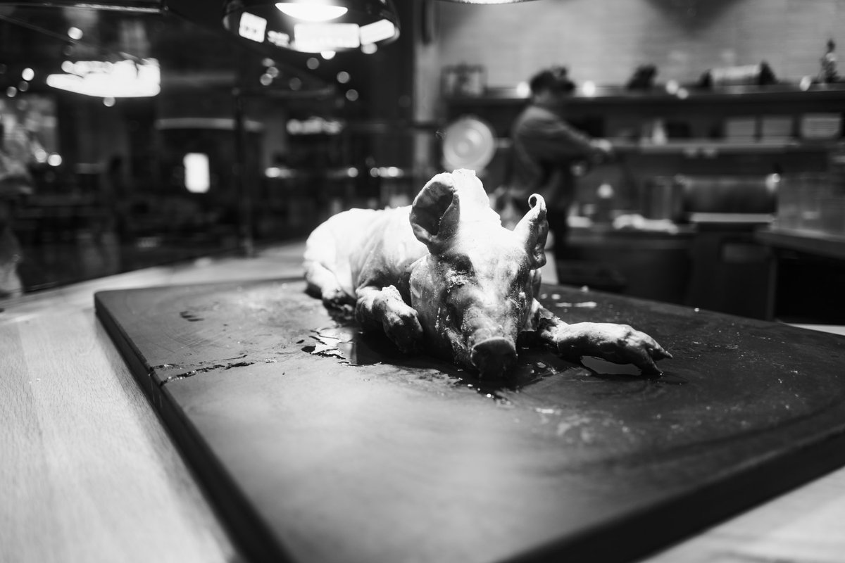 bentwookie2's tweet photo. Lechon #LeicaQ2 https://t.co/2uPPxmEJc0