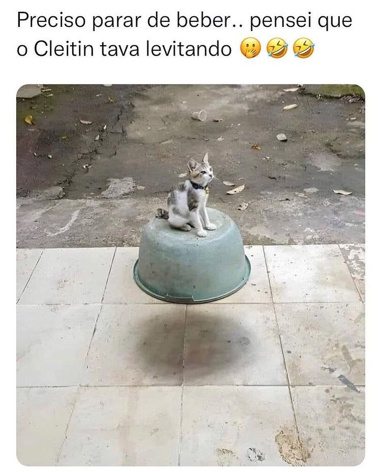 CatraFrases tweet media