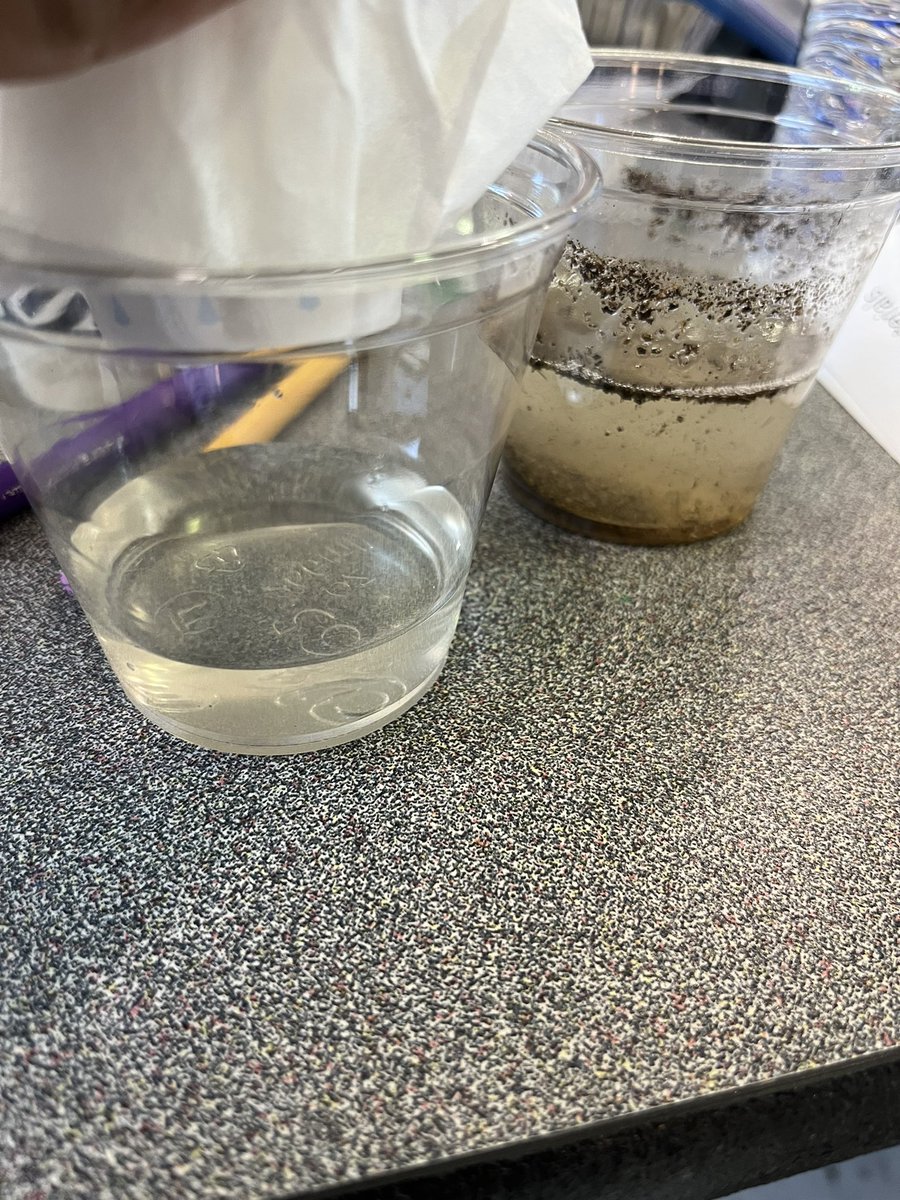 MrsWestmoreland's tweet photo. Science training with @DallasEEI. Learning how water gets cleaned!!! @EspinozaBotello @BotelloElem https://t.co/UbSMW4Elne