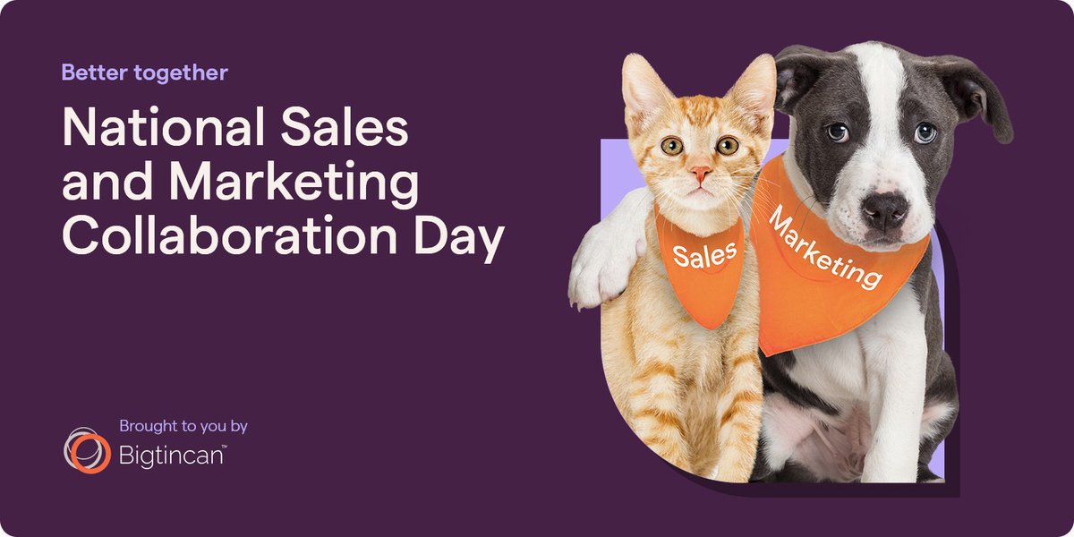 SW_Reviews's tweet photo. Strong sales and marketing collaboration is the secret to building a brand experience. This is why we're happy to support @bigtincan official launch of #SalesMarketingCollabDay on August 3 by bringing #sales and #marketers together. 🤝 

Learn more: https://t.co/MWyamjd7ps https://t.co/FVn4JzgFb2