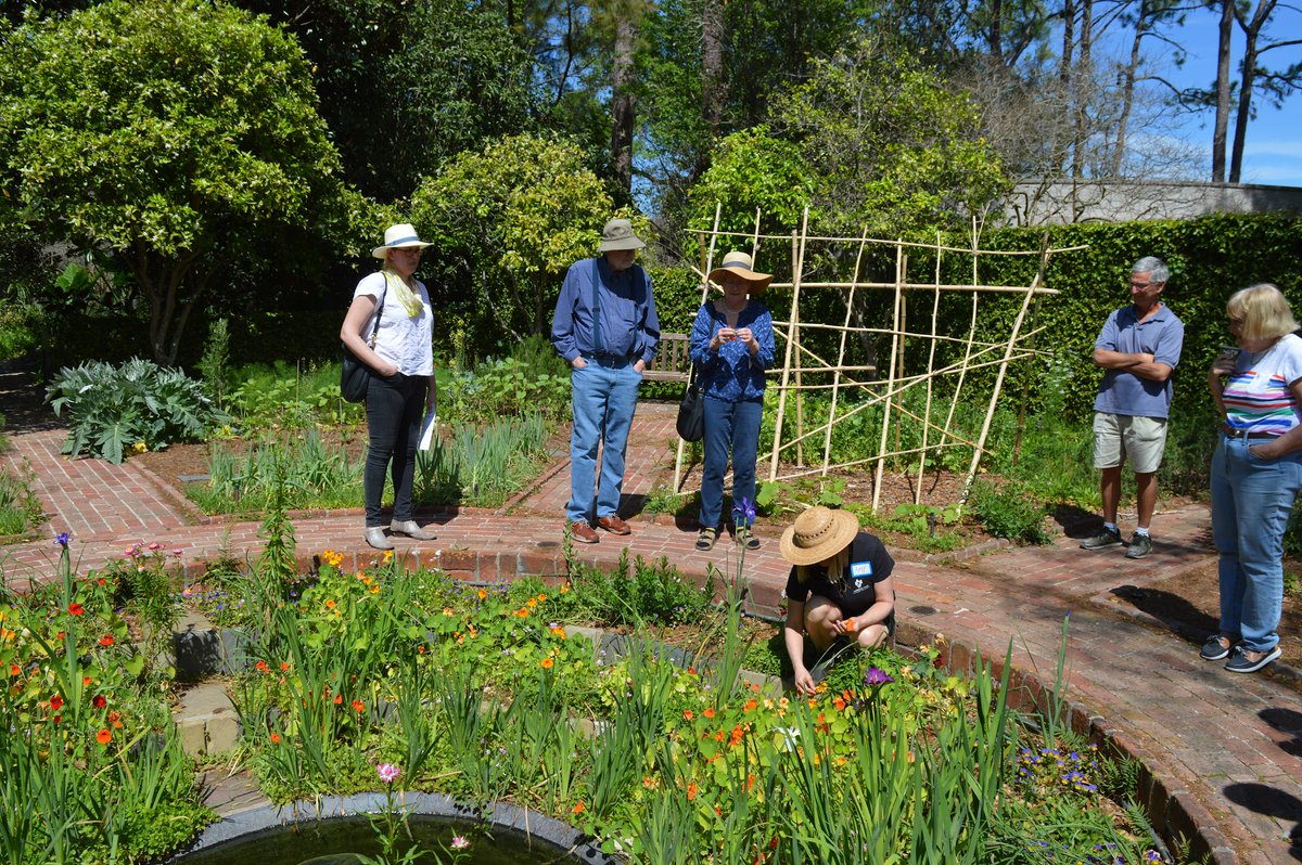TOMORROW at Longue Vue:

Sprouts (ages 0-4) @ 9:30AM

Vue Crew Kids Garden Club (ages 5-10) @ 1:30PM

Yoga with a Vue @ 9:30AM

Tai Chi @ 10AM

Dialogue for Social Progress @ 9AM-1PM

Visit our calendar for info &amp; tickets!

Calendar: bit.ly/3d56yMT

#NolaSaturday