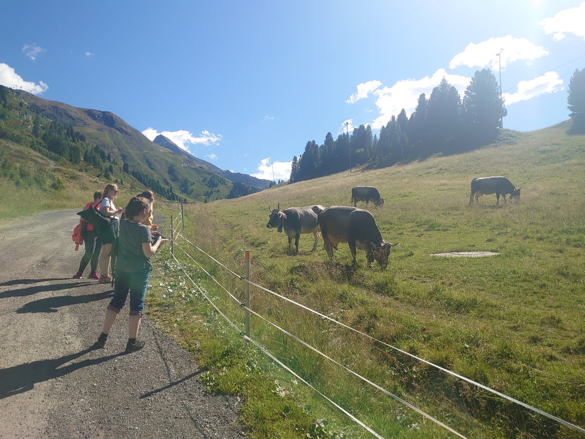 NWFCanStudies's tweet photo. Great Mountain Studies session of the #ESSCS with PearlAnn Reichwein high up in alpine Obergurgl https://t.co/Qh4PLWIxs3