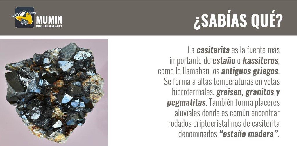 MuseoMumin's tweet photo. Mineral del mes: Casiterita
#casiterita #mineral #MuseoMumin #Museos #Museum #geology #geologia
#monthmineral #mineraldelmes #geological #geologist #mineralcasiterita #cassiteritemineral
#estaño #kassiteros #griegos #hidrotermales #greisen #granitos #pegmatitas #rodados https://t.co/rUfUOyIBtS