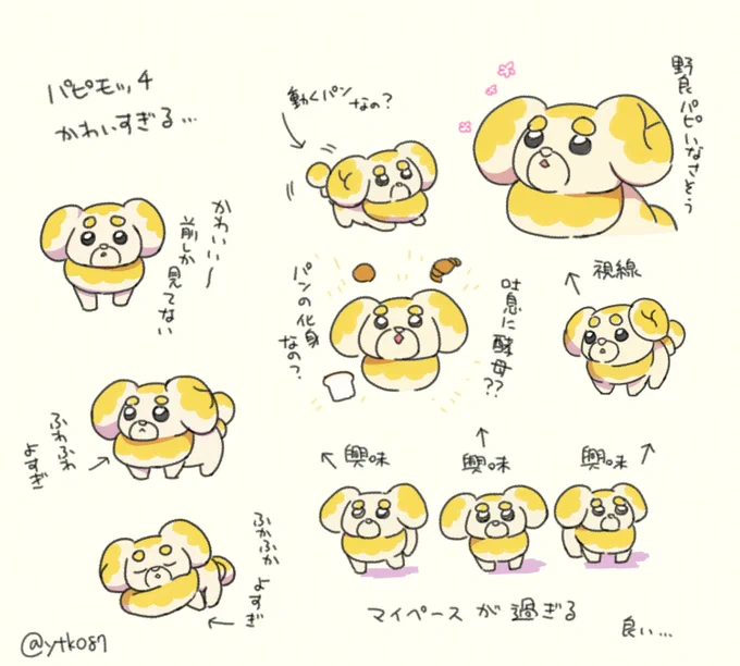 パピモッチ あまりに愛おしい… 