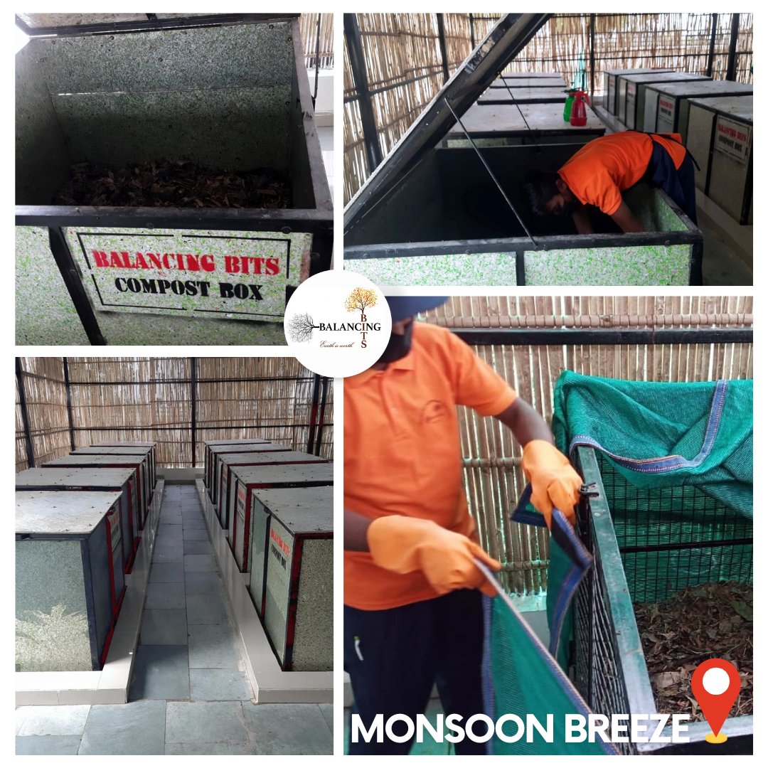 balancingbits's tweet photo. Our very first project in #Manesar now, in #MonsoonBreeze Society, started with the mission which we always craved for i.e. creating a balance in the ecosystem.
Thanks @MCManesar for supporting and helping us in fulfilling this mission.

@ZC_zenith @wecares4india @rakeshkaswan https://t.co/5SMWwQLrWV
