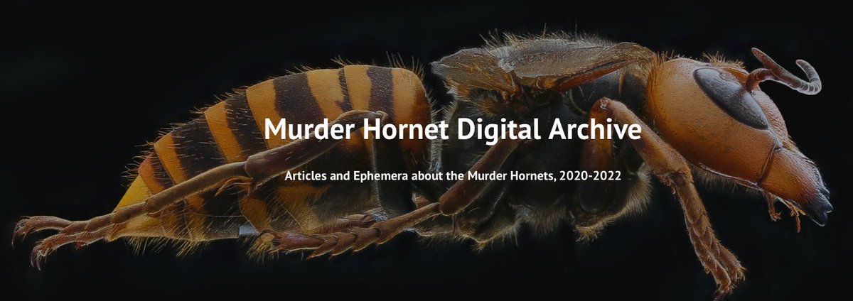 We've put Sam Klee's second-prize-winning ESEH / WHP Poster on our blog today. The blog format doesn't really do it justice so please do click on the link in the post to view the project website itself!
whitehorsepress.blog/2022/08/03/ese… #envhist #murderhornets
